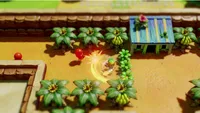 The Legend of Zelda: Link’s Awakening
