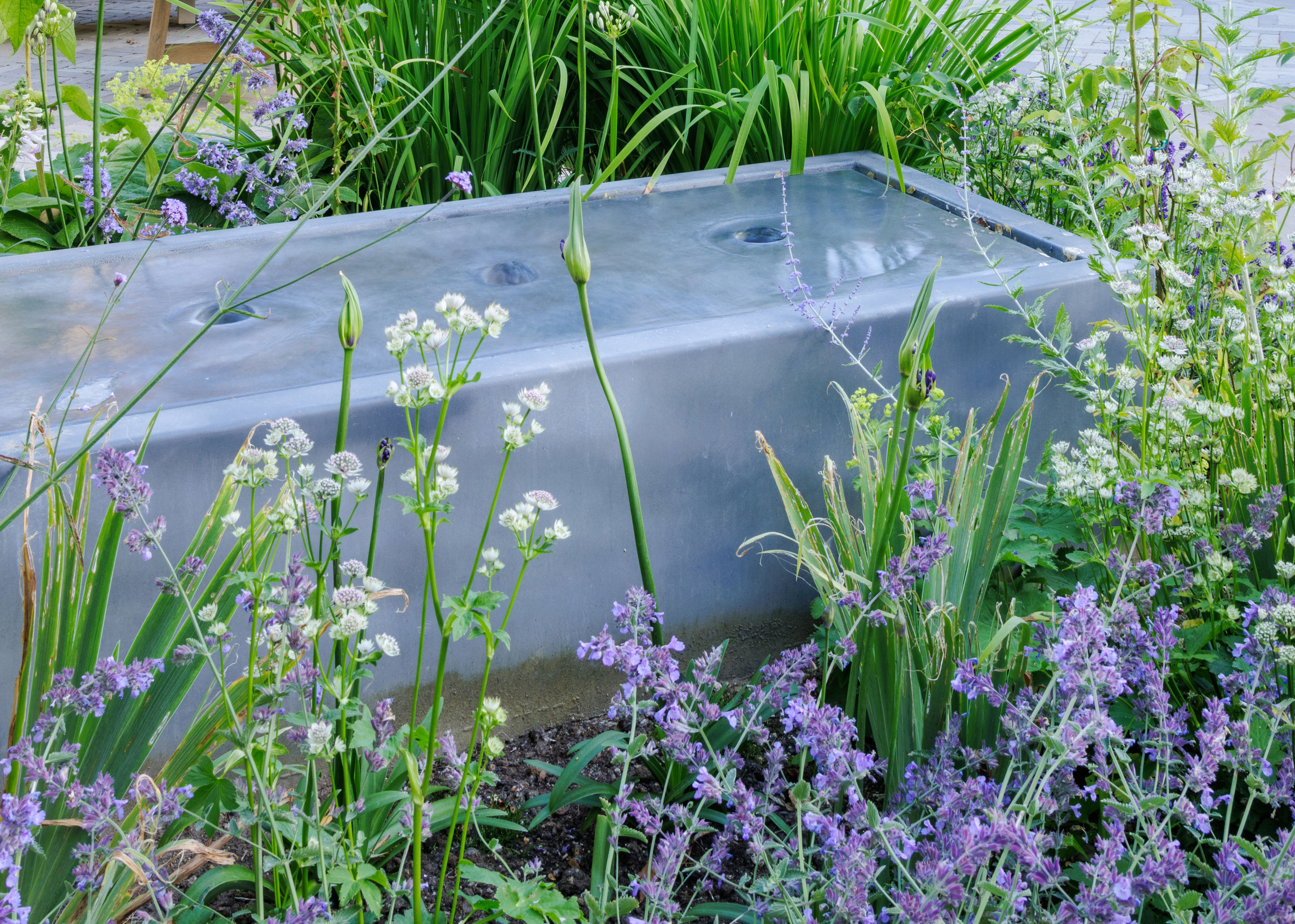 grey oblong water feature surrounded by purple and white flowers