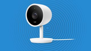 Nest iq 2024 camera sale