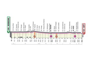 The profile of stage 19 of the Giro d'Italia