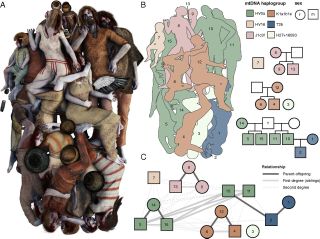 This graphic shows how the Neolithic victims were buried and how they are related to one another, according to a genetic analysis.