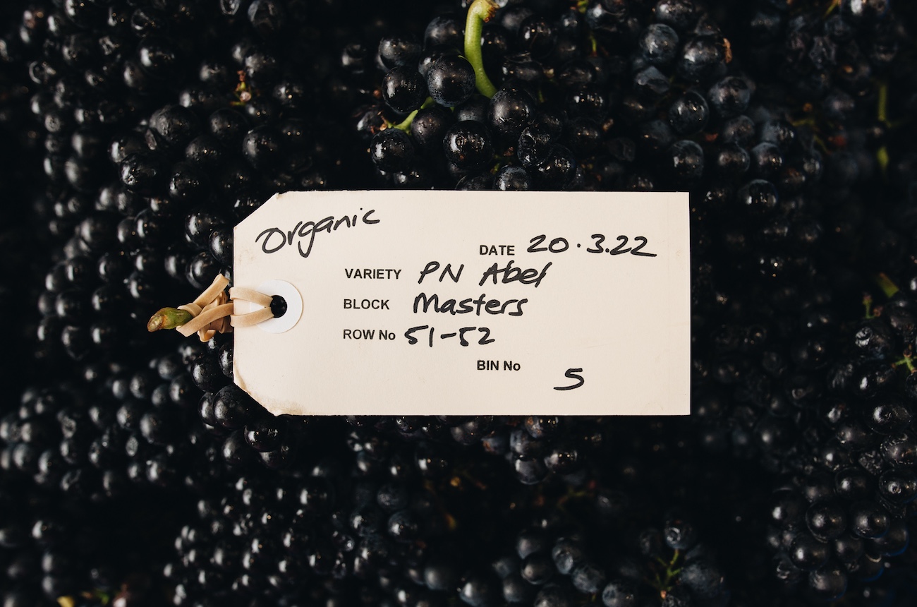 New Zealand Pinot Noir
