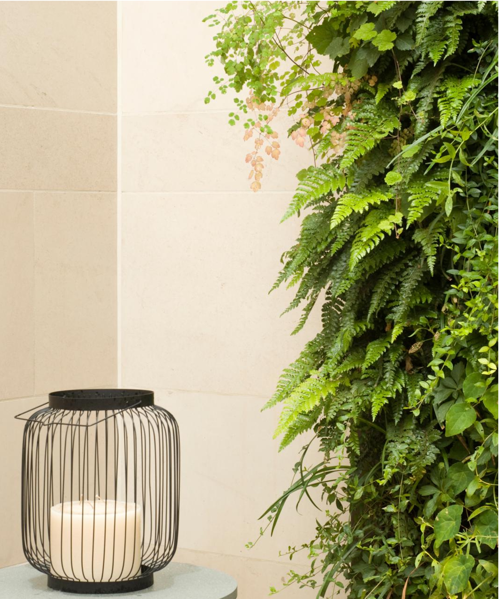 Foliage vertical garden