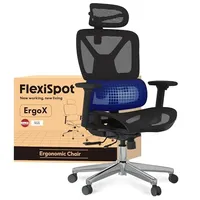 FlexiSpot ErgoX office chair