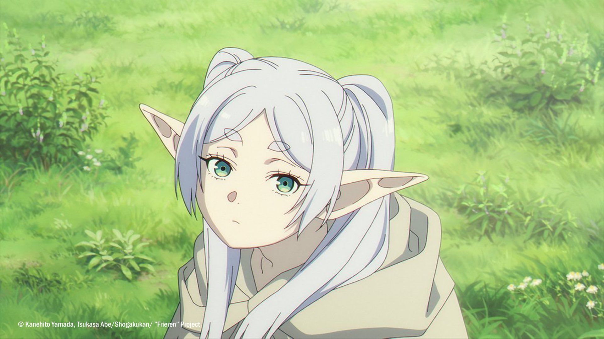 Frieren Beyond Journey's End