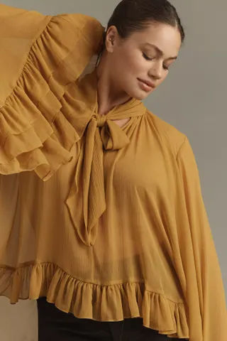 Let Me Be Sheer, Tie-Neck Ruffle Blouse