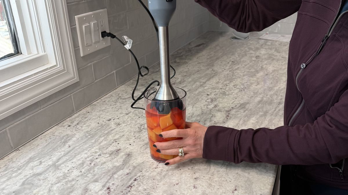 Ninja Power Duo Immersion Blender with Whisk making smoothies