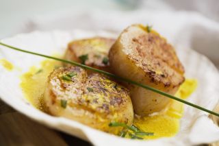 things to do in rye: eat scallops