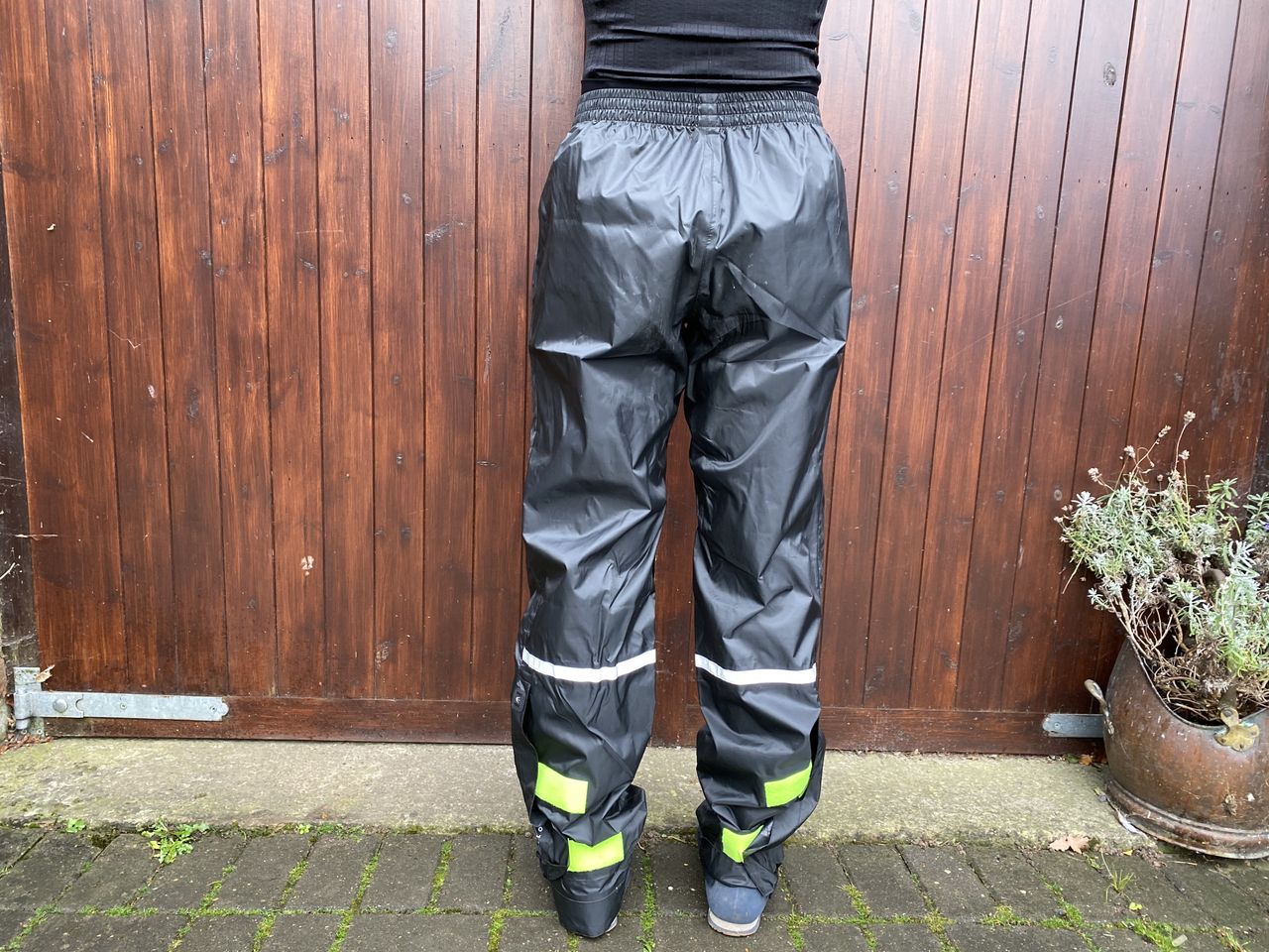 Rear