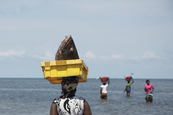 A big catch on Inhaca Island, a new world for cyclists Moerenhout and Tjallingii