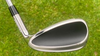 Photo of the Cleveland Halo XL Full-Face Iron from the back