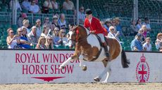Will Morton and Bannview So Smart are crowned cob champions after this spectacular gallop.