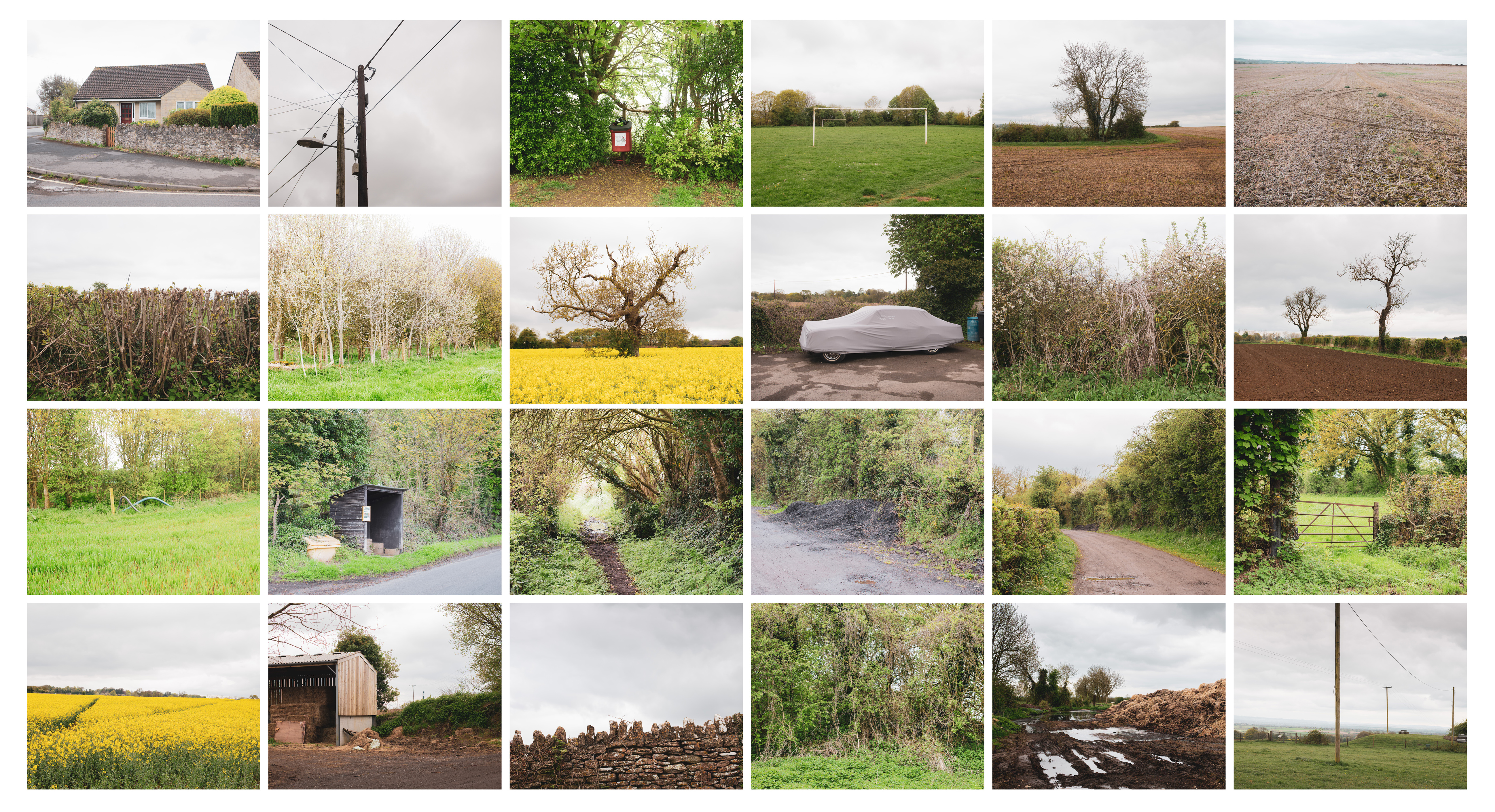 Mosaic of images of the British countryside taken on a walk using the photo every 5 minutes rule