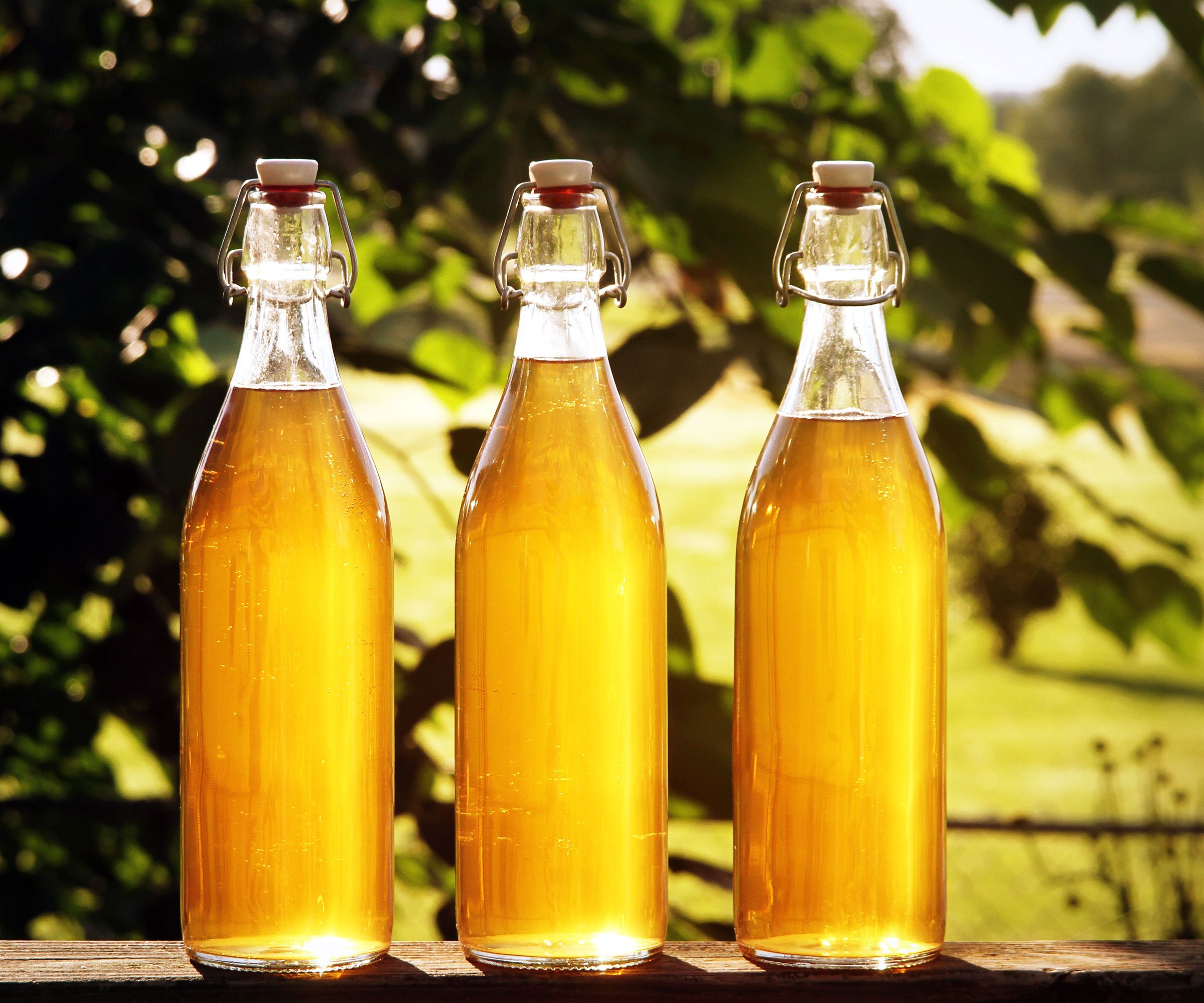 glass bottles of vinegar lined on table in garden