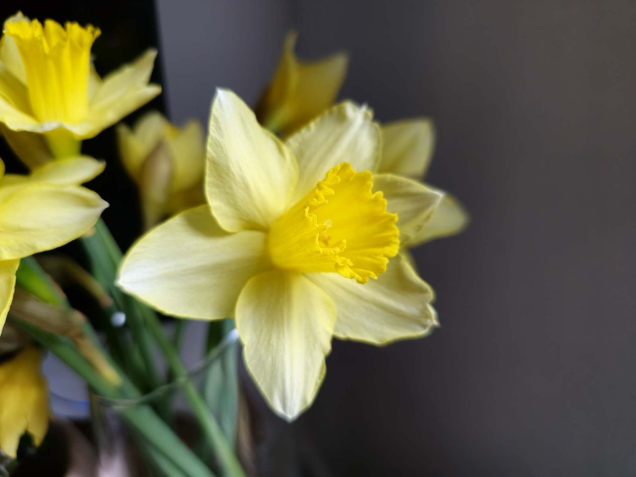 Galaxy S23 Ultra 12MP vs. 200MP gallery