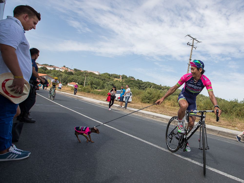 Yukiya Arashiro walking his dog Corin prior to the 7th stage of the 71st edition of 'La Vuelta' Tour of Spain