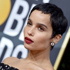 77th Annual Golden Globe Awards - Arrivals