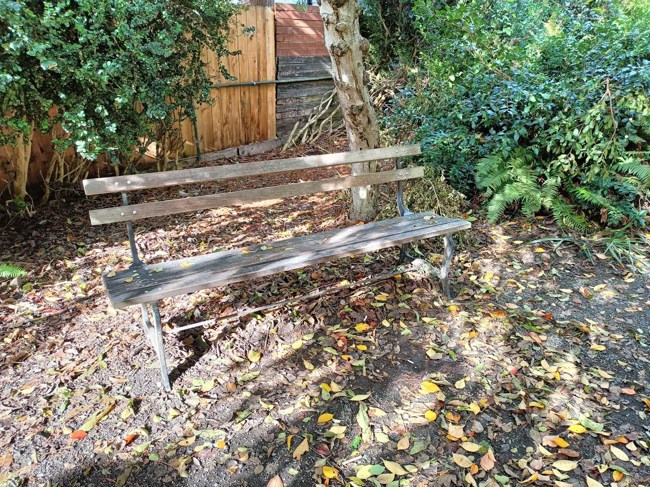 OnePlus Nord N300 5G camera sample, park bench