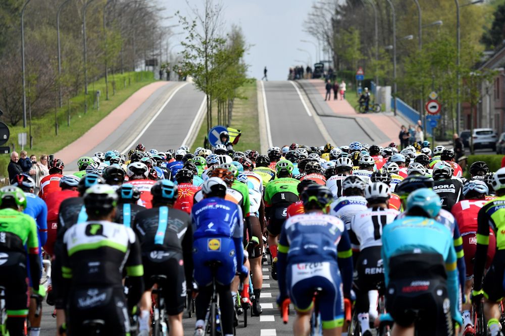 The Scheldeprijs peloton