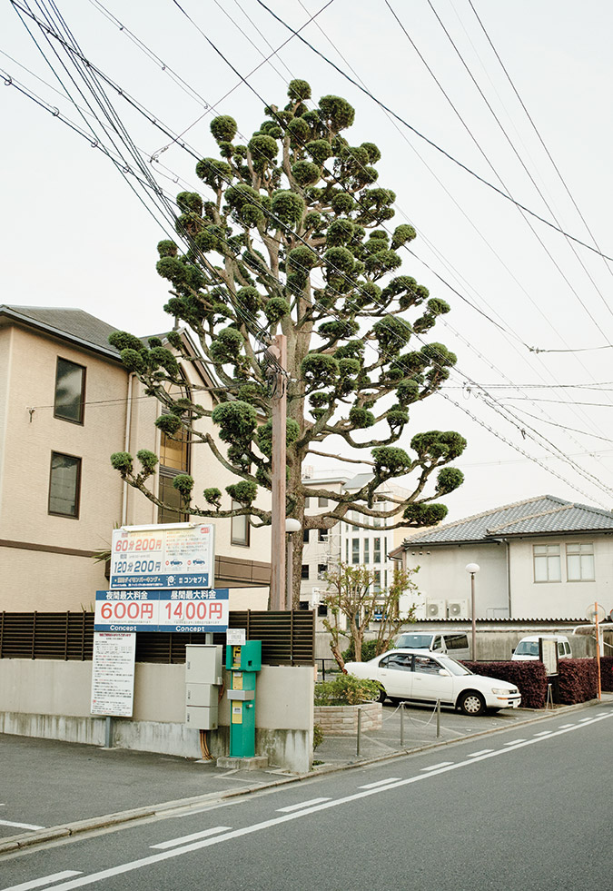 At Kyotographie, photographers are looking onwards and upwards