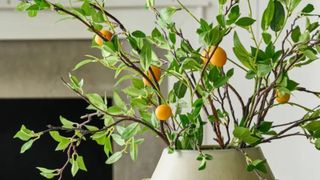 A magnolia vase with dried citrus fruit plants inside