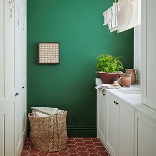 utility room with deep green wall, wicker laundry basket and plant on surface