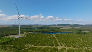 Amazon Ireland wind farm renewable energy