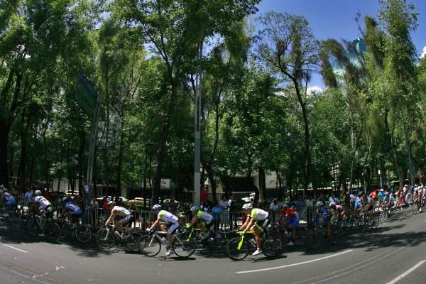 A tree-lined boulevard provides a great backdrop.