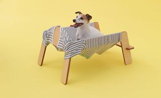 Dog hammock for Jack Russell with grey-and-white pin-striped fabric - supported on four plywood legs.
