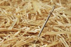 This man is spending 2 days searching for a needle in a haystack &mdash; for art