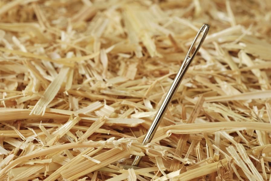 This man is spending 2 days searching for a needle in a haystack &amp;amp;mdash; for art