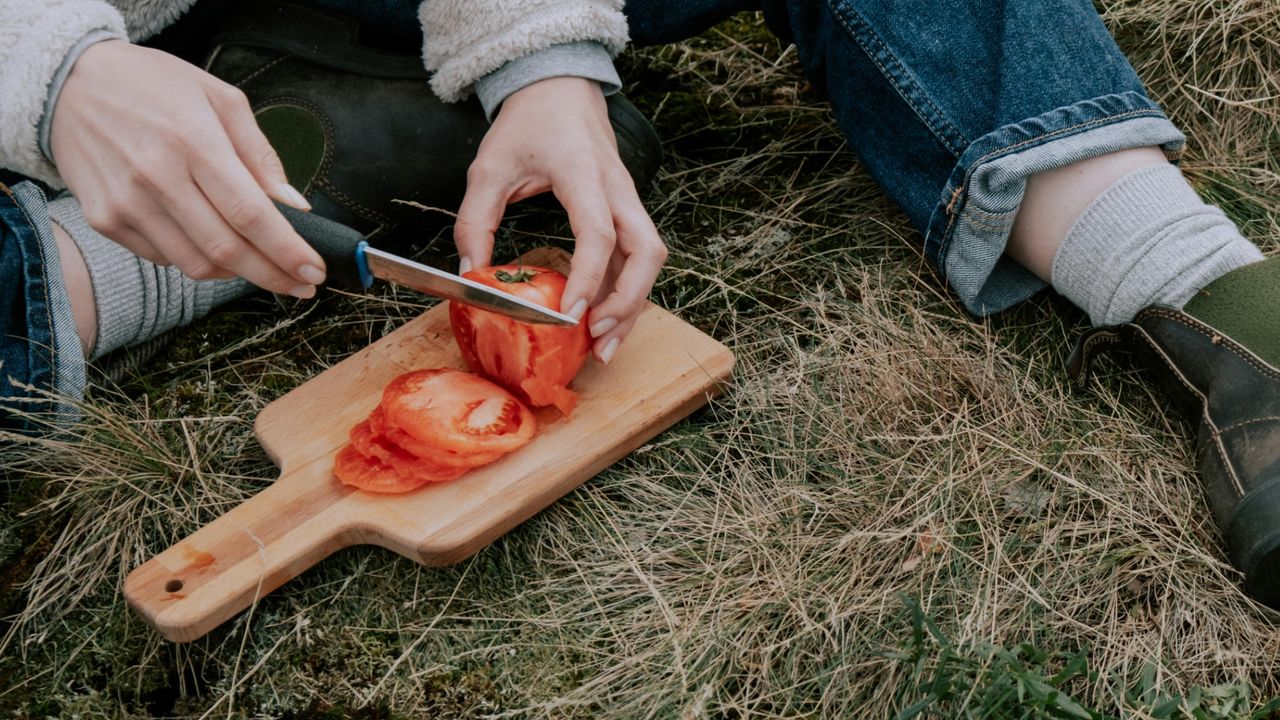 Camping knife cutting tomato