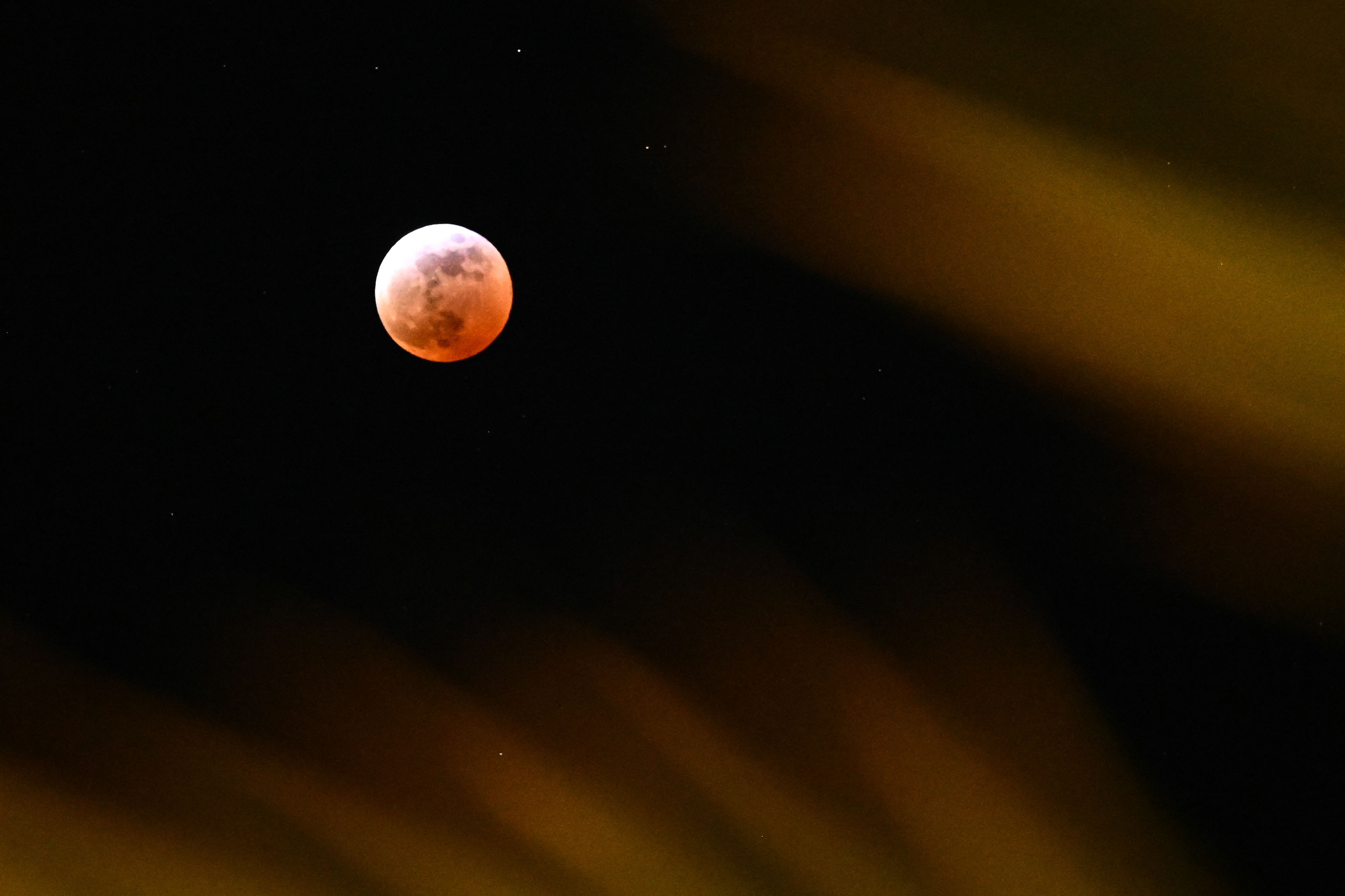 moon appears red with a white upper left corner and some palm leaves in the foreground