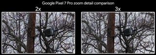 Comparing 2x and 3x zoom detail on a Google Pixel 7 Pro