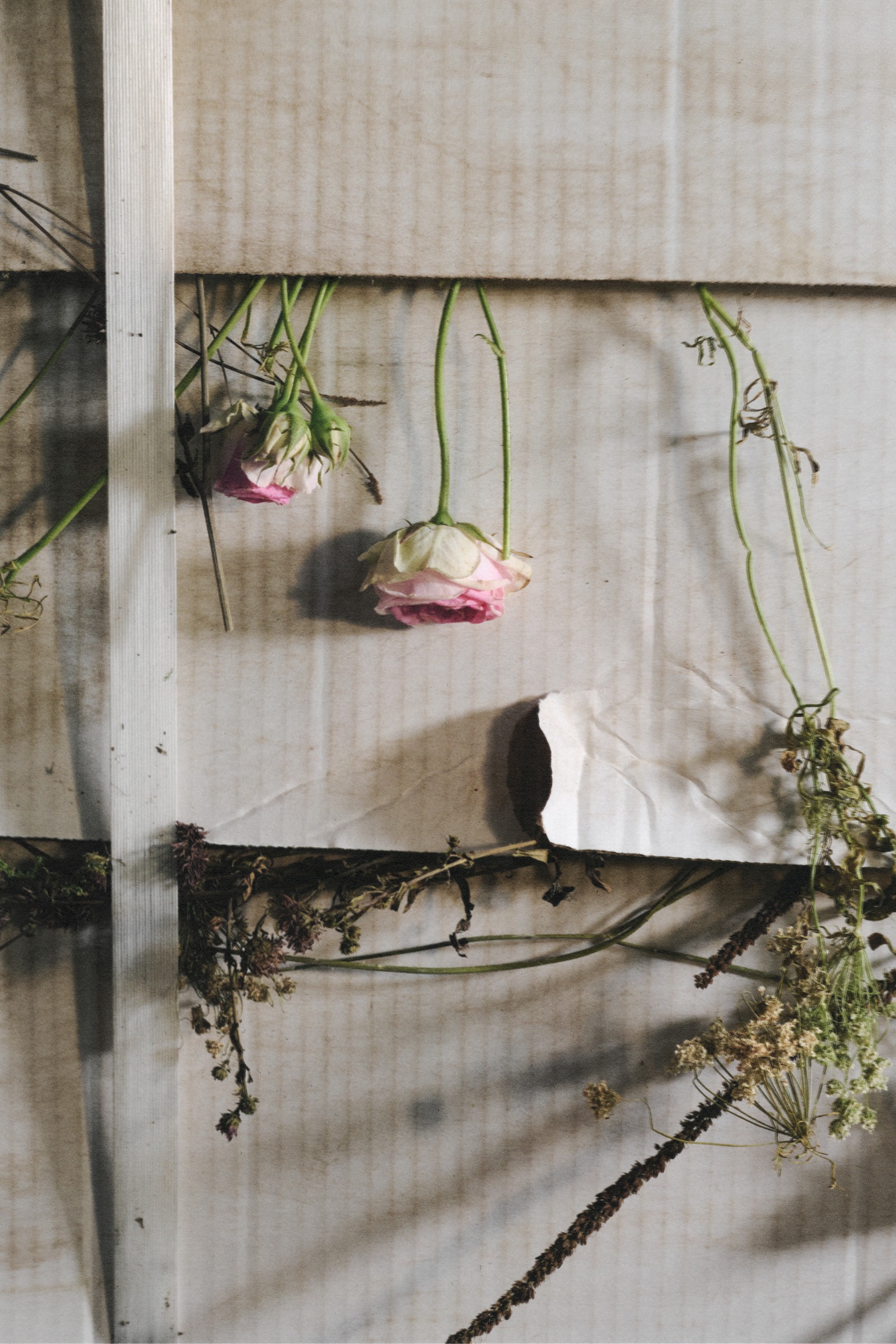 Maison Margiela runway show set with flowers