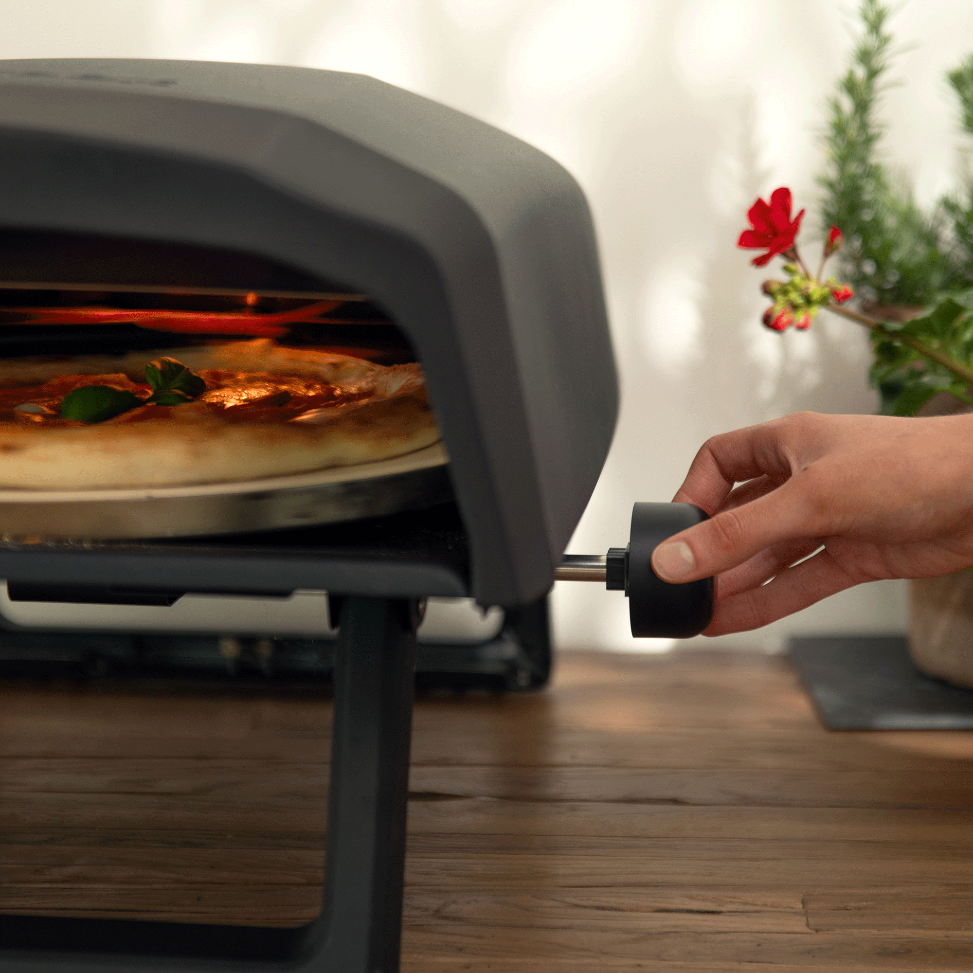ProCook gas pizza oven