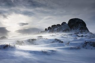 Snowy landscape