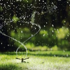 Twirling sprinkler watering lawn