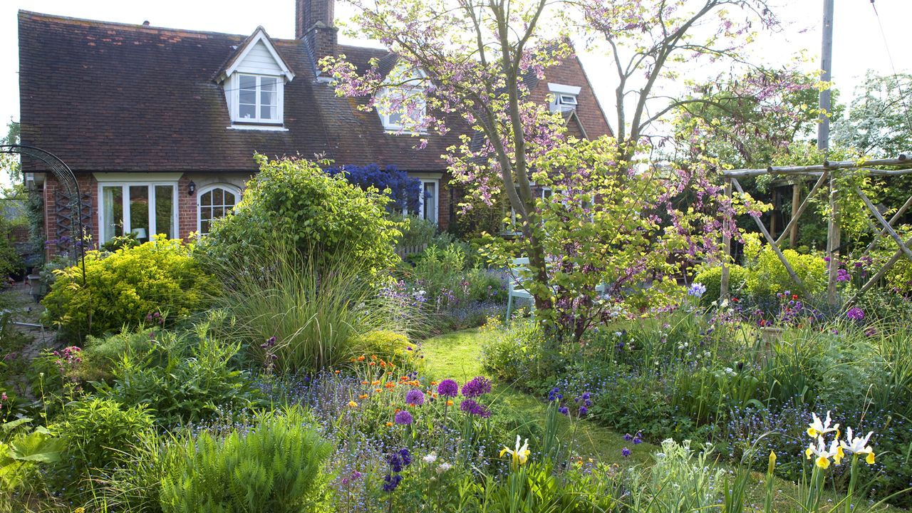 cottage garden martin planting