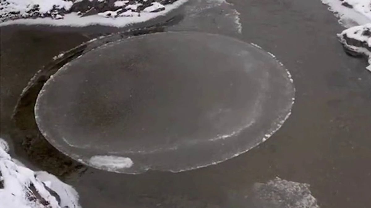 Ice disc on pool in Scotland, UK