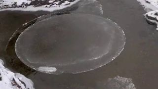 Ice disc on pool in Scotland, UK