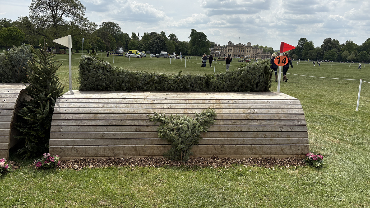 BE90 grassroots championships cross-country course: fence 14