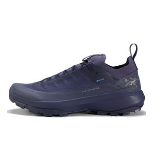 Arc’teryx Vertex Alpine GTX approach shoe