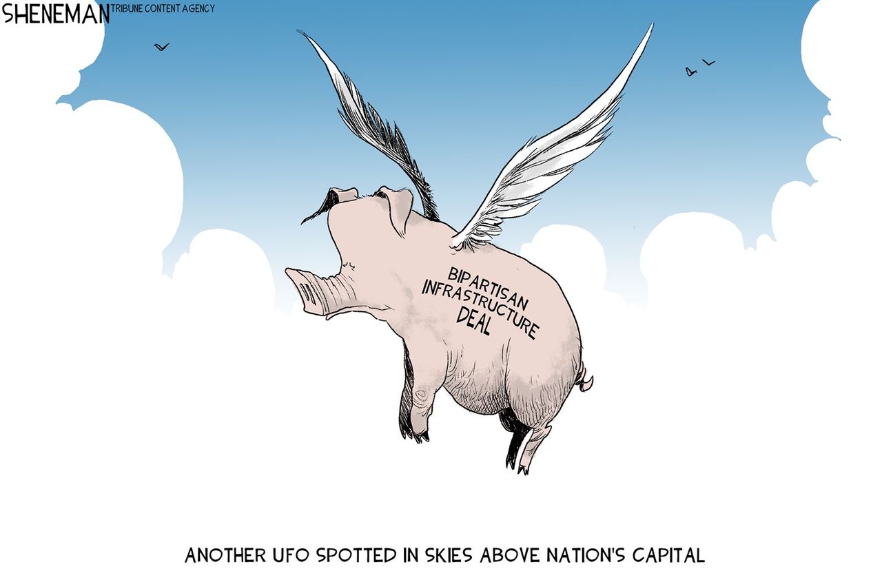 when pigs fly