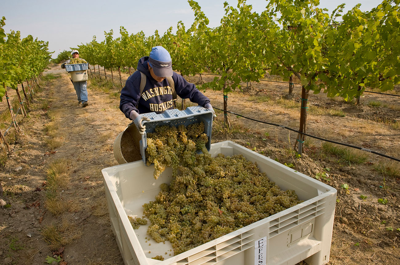 Washington State Yakima Valley
