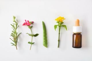 Flat lay of four herbs and flowers next to a small cosmetic bottle for oil