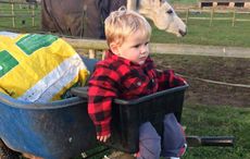 wheelbarrow-seat.jpg