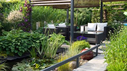 A modern furnished patio and pergola with a small pond, water lilys, hostas and Clematis