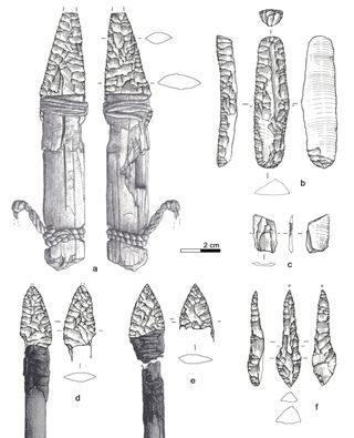 Otzi's tools, including the (a) dagger, (b) endscraper, (c) borer, (d, e) arrowheads and (f) small flake.