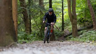 Riding the Ribble 725 in woods